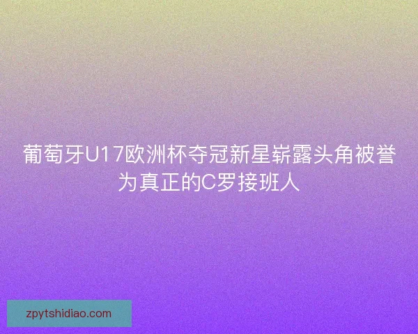 葡萄牙U17欧洲杯夺冠新星崭露头角被誉为真正的C罗接班人