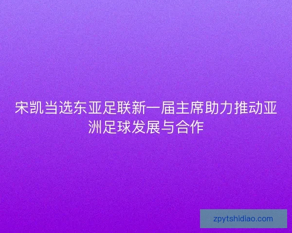 宋凯当选东亚足联新一届主席助力推动亚洲足球发展与合作