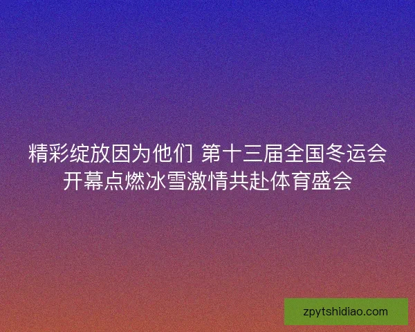 精彩绽放因为他们 第十三届全国冬运会开幕点燃冰雪激情共赴体育盛会